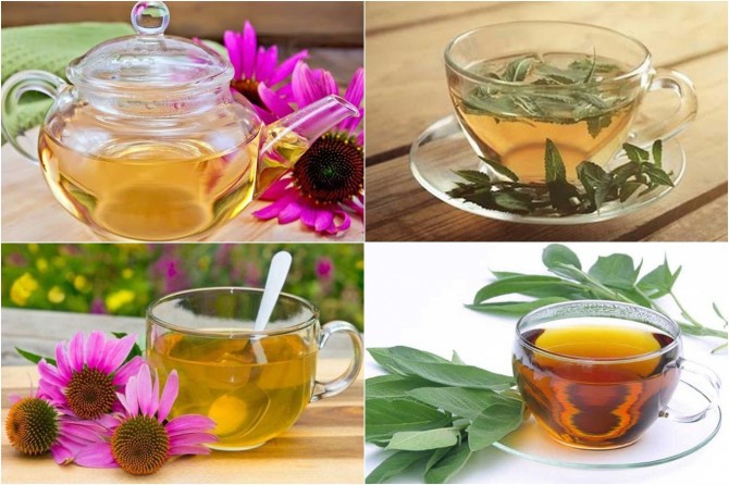 Uzmanlardan kış hastalıklarından adaçayı ve ekinezya ile korunmanın yolu