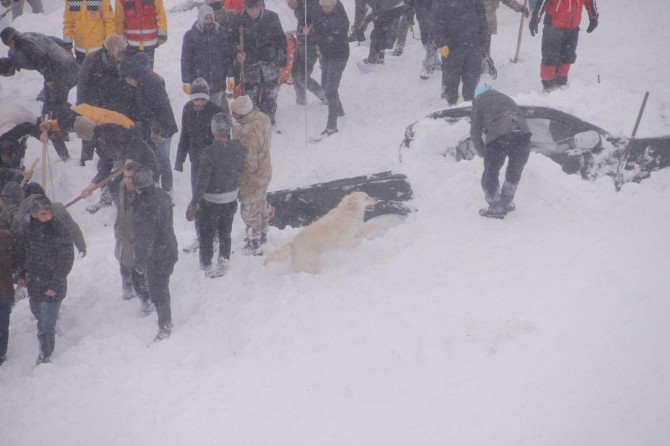 Van'da çığ bölgesinde arama çalışmaları devam ediyor