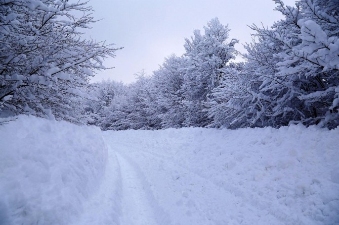 Meteorolojiden kuvvetli yağış, yoğun kar yağışı, kuvvetli rüzgâr ve çığ tehlikesi uyarısı