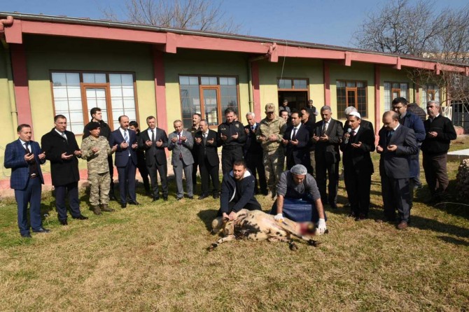 Şanlıurfa'da 'acı haberler son bulsun' diye kurban kesilerek dua edildi