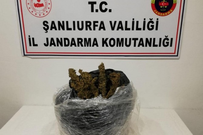 Şanlıurfa'da uyuşturucu operasyonunda 2 kişi suçüstü yakalandı
