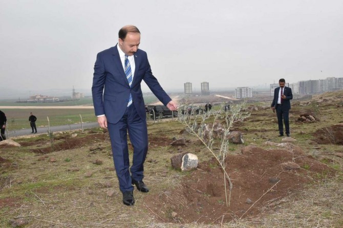Şanlıurfa Valisi Abdullah Erin: "50 bin hektarlık alan ağaçlandırılacak"