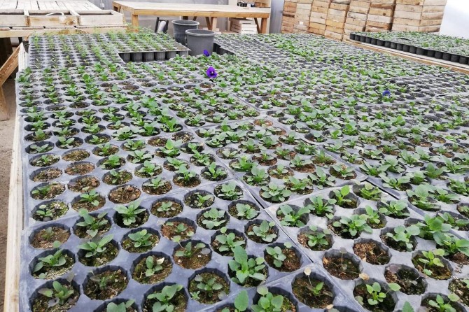 İpekyolu Belediyesi ilkbahar hazırlıklarına başladı