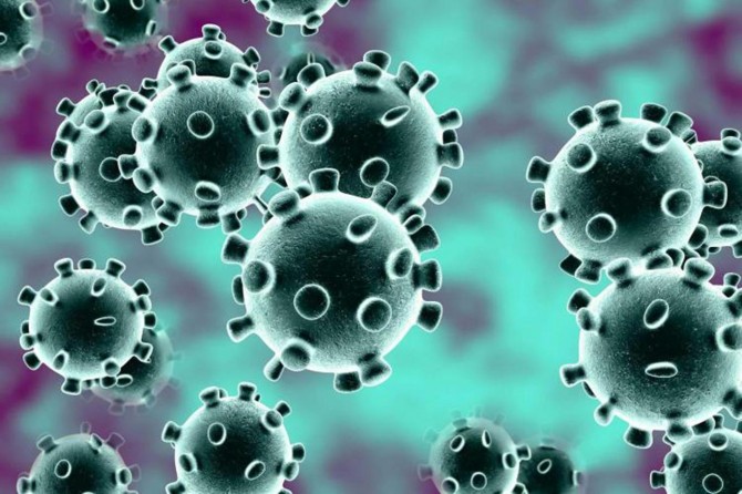 Coronavirus gets a new official name