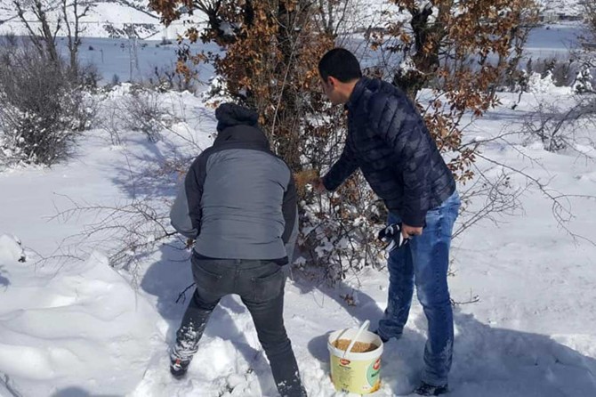 Adıyaman'da yaban hayvanları için doğaya yem bırakıldı