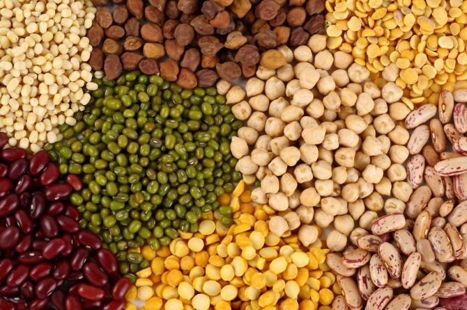 Geçen yıl 630 bin ton nohut, 44 bin ton yeşil mercimek üretildi