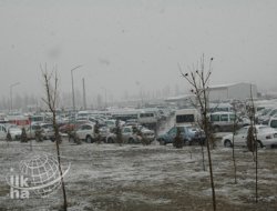 Van Bölge Hastanesi'nde Park Çilesi