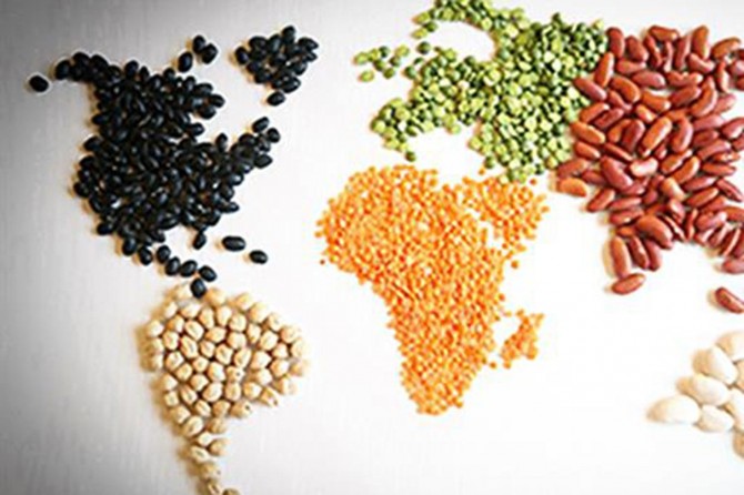 Pakdemirli: Baklagillerde ihracatçı konuma gelebilmek için prim desteklerini artırdık