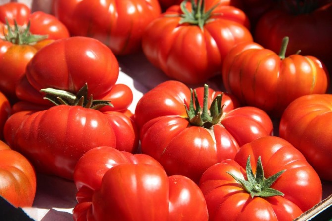 Rusya, 'kota dolumu nedeniyle' Türkiye'den domates alımını durdurdu