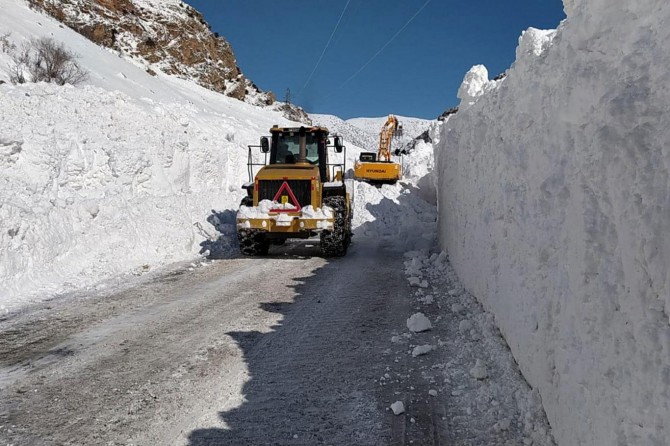 Van'da çığ bölgelerindeki yol açma çalışmaları sürüyor