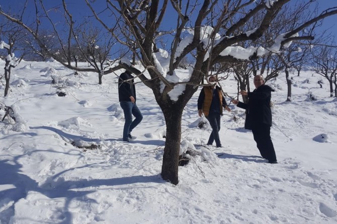 Siirt Tarım ve Orman Müdürlüğü: Tarımsal ürünlerde bereketli bir yıl bekliyoruz