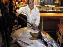 222 kiloluk ton balığına 1,7 milyon dolar