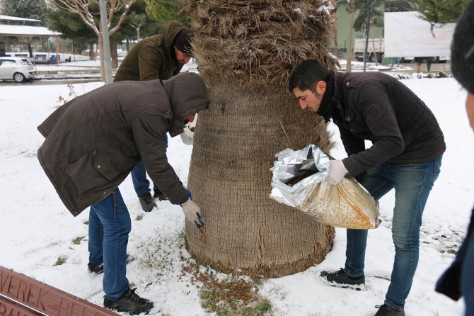 Siverek’te sokak hayvanları için yem bırakıldı
