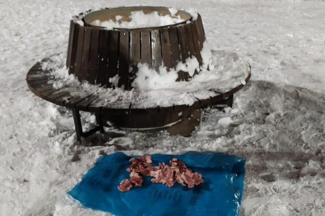 Sokak hayvanlarına yem bırakıldı