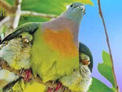 İlk Ağlamayla Başlamalı Eğitim