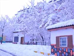 Muş'ta Kar Bir Yağdı Pir Yağdı