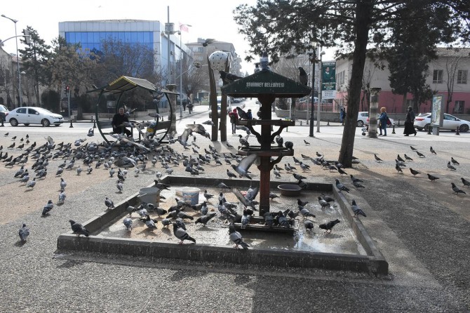 Şahinbey Belediye Başkanı Tahmazoğlu: “Sokak hayvanları bizlere emanet”