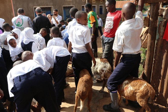 European Yetim Eli slaughters the sacrifices on behalf of philanthropists in Uganda