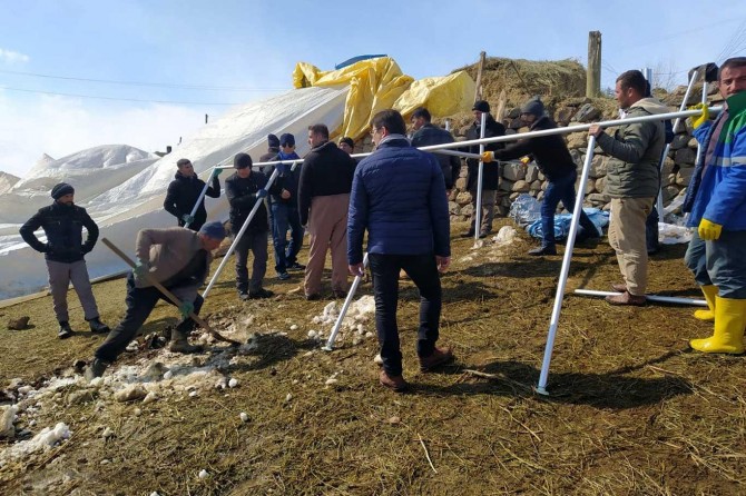 Van'daki depremden sağ kurtulan hayvanlar için barınaklar kuruluyor