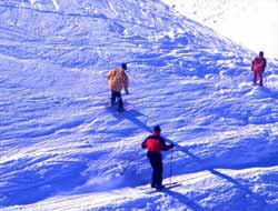 Palandöken Özelleştirme Programında