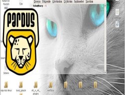 Pardus ekibi neden dağıtıldı?