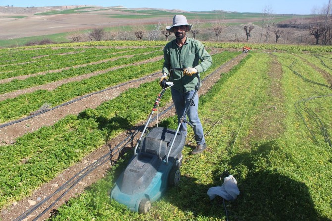 Havaların ısınmasıyla birlikte köylerde tarımsal hareketlilik başladı
