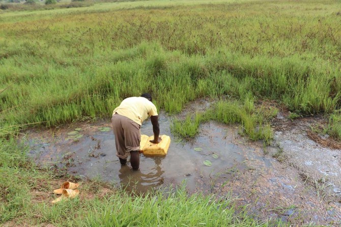Afrika'da her yıl binlerce çocuk kirli sulardan kaynaklanan hastalıklardan ölüyor