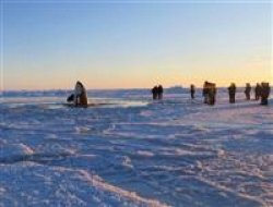 Balinalar ölümle pençeleşiyor