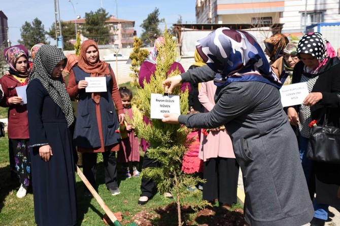 Kadınlar İdlib saldırısında hayatını kaybeden askerler için fidan dikti