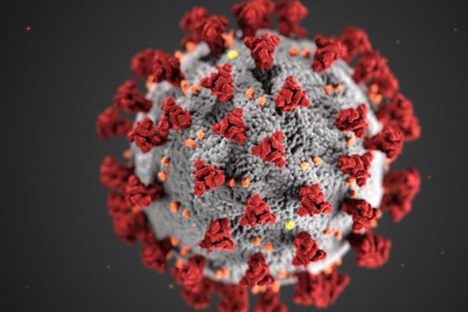 The number of confirmed coronavirus cases rises to 59 in Egypt