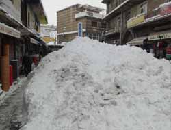 Bitlisliler Belediyeden Dert Yandı Video