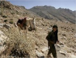 Alevi Kürtler PKK’yı Terk mi Edecek?