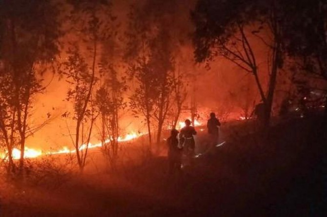 Çin'de orman yangını: 19 ölü