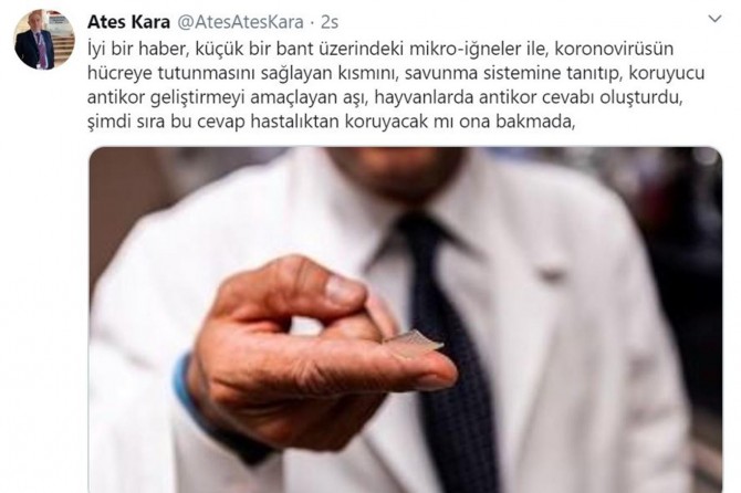 Bilim Kurulu Üyesi Kara: Aşı denemesi hayvanlarda antikor cevabı oluşturdu