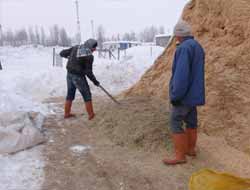 Muş'ta hayvan yetiştiricileri zor günler yaşıyor video