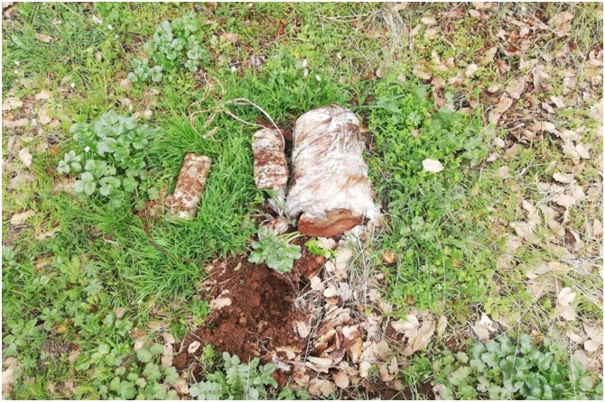 Bitlis kırsalında ele geçirilen patlayıcılar imha edildi