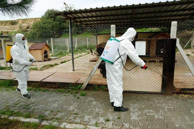 Adana'da belediye ekipleri dezenfektan çalışmalarına devam ediyor