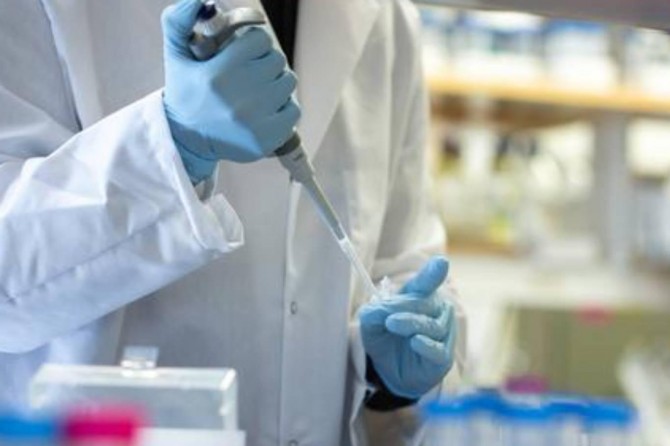 Li Hollandayê 234 kesên din jî ji Coronavîrusê mirin