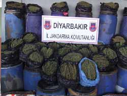 Diyarbakır'da 269 Kg esrar ele geçirildi