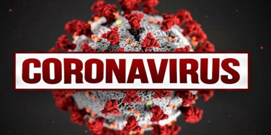 Li tevahîya cîhanê hejmara kesên ku ji ber Coronavîrusê mirin derket li ser 270 hezarî