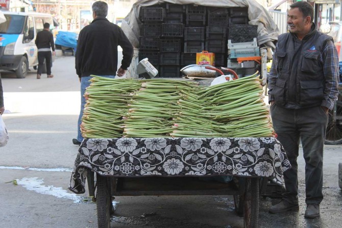 Uçkun (yayla muzu) tezgâhlardaki yerini almaya başladı