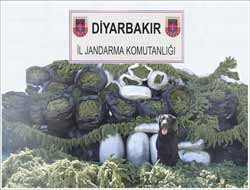 Diyarbakır'da 420 Kg kubar esrar ele geçirildi