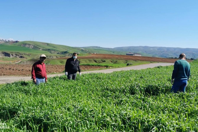 Siirt’te fenolojik gözlemler ve saha çalışmaları yapıldı