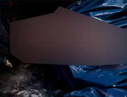 İngiltere'de Camiye domuz kafası bırakan zanlıya ceza