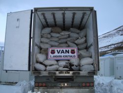 Van'da kaçakçılık baskınları: 18 gözaltı