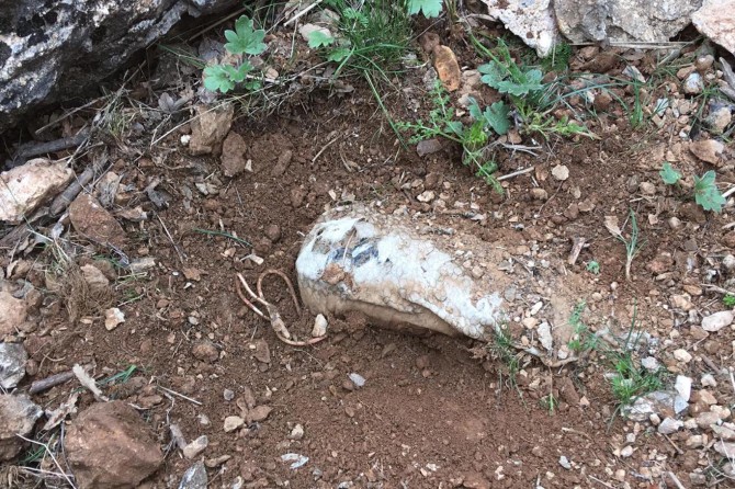 Baykan'da operasyonda bulunan patlayıcı imha edildi