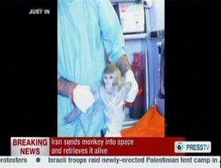 İran uzaya maymun yolladı