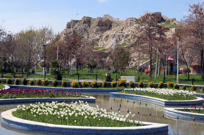 Van'ın cadde ve parkları açılan lale ve sümbüllerle rengarenk
