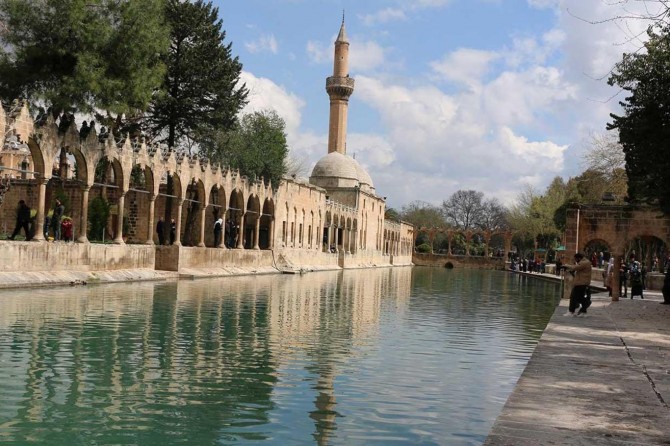 Hukukçu ve STK’lardan cinsi sapkınlığa sahip çıkan Şanlıurfa Barosuna büyük tepki