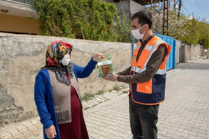 Van ​İpekyolu Belediyesi annelere fesleğen hediye etti